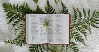 Receiving Your Inheritance