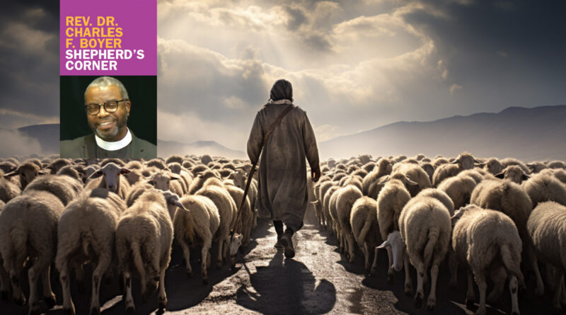 What It Means to Be A Shepherd What It Means to Be A Shepherd